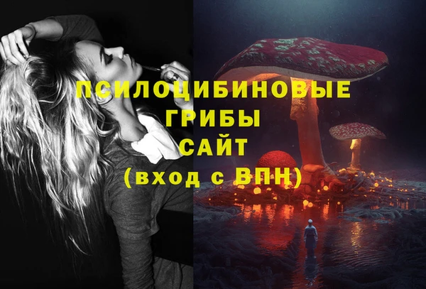 каннабис Алексеевка