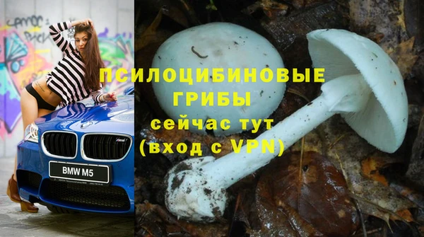 a pvp Алексин